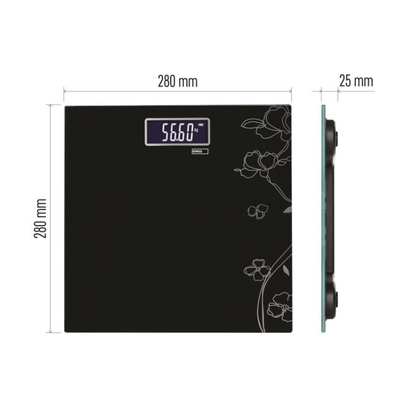 Digital Bathroom Scale EV106 [2]