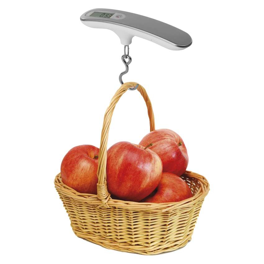 CANTAR DIGITAL DE PRECIZIE [6]