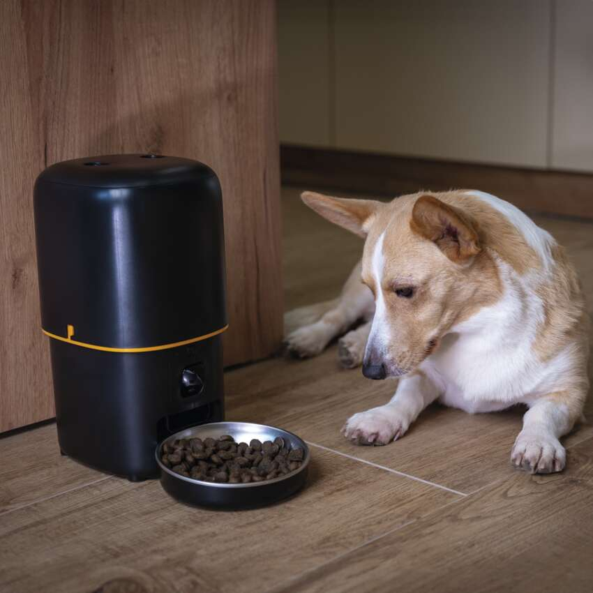GOSMART FEEDER PET CARE WITH CAMERA, 4 L, BLACK, WI-FI [25]