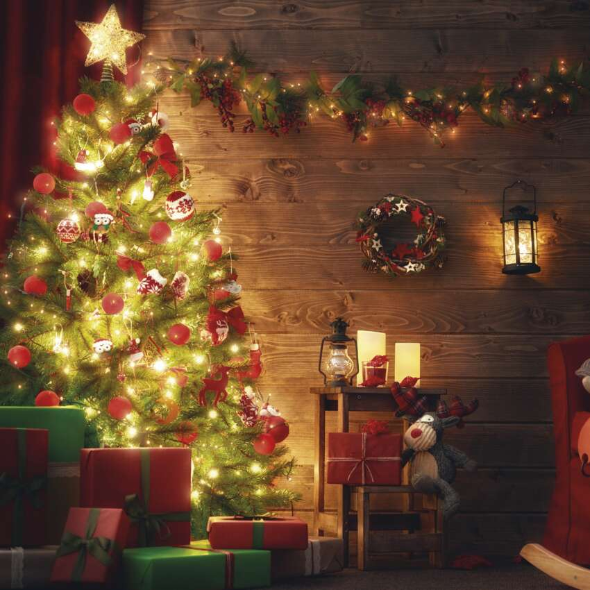 PRIZA CU TEMPORIZATOR MECANIC 15GD/3A, SCHUCKO [5]