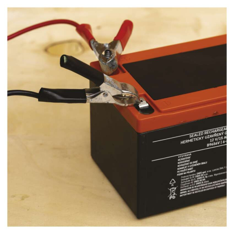 ACUMULATOR SLA DE TRACTIUNE 12V 15AH-FASTON 6.3MM [6]