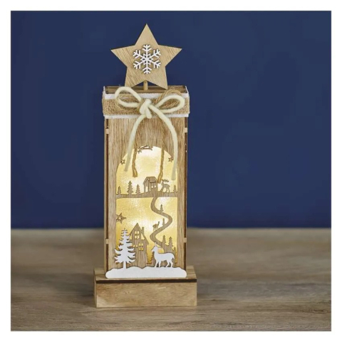 DECOR DE CRACIUN STELE [2]