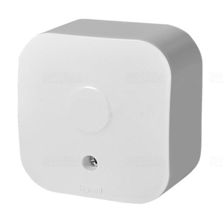 Valena Forix - IESIRE DE CABLU ALBA FORIX