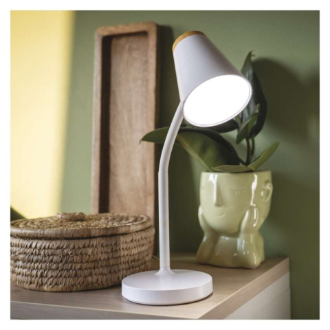 LED Desk Lamp TARA white [1]