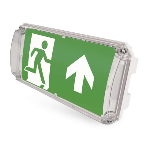 Emergency lights - LED Emergency Bulkhead NESSI 4W 3h IP66