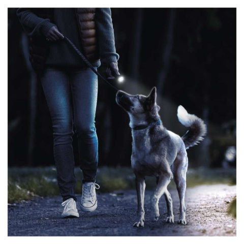 LED Flashlight GP C105, 50 lm, 1× AA [2]