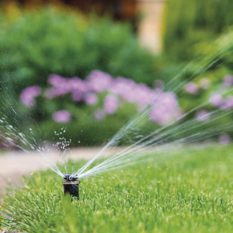 PRIZA CU TEMPORIZATOR MECANIC, SCHUKO [3]