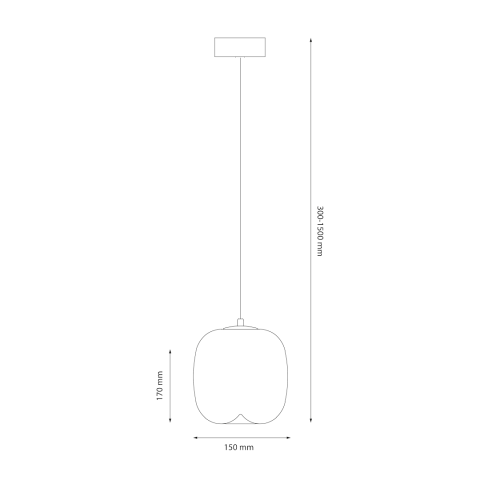 PENDUL VASO 2 FUMURIU 4W LED [4]