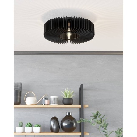 PLAFONIERA PALOMBAIA [2]