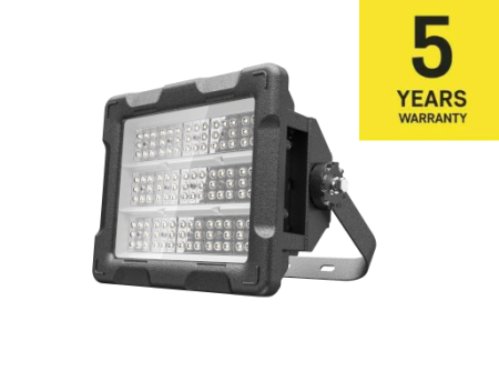 Corpuri de iluminat tip Antiex - REFLECTOR LOKI 100