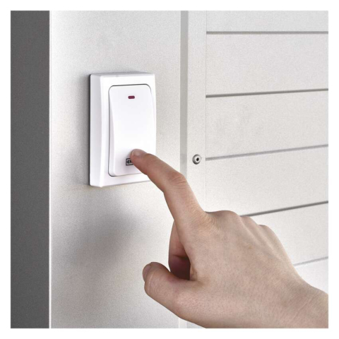 SONERIE FARA FIR ALB [4]