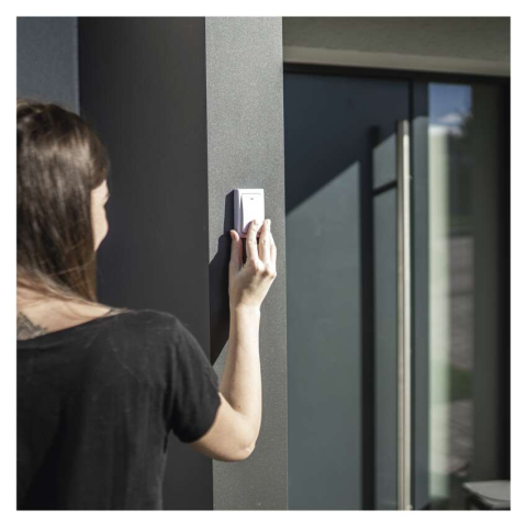 SONERIE FARA FIR ALB [6]