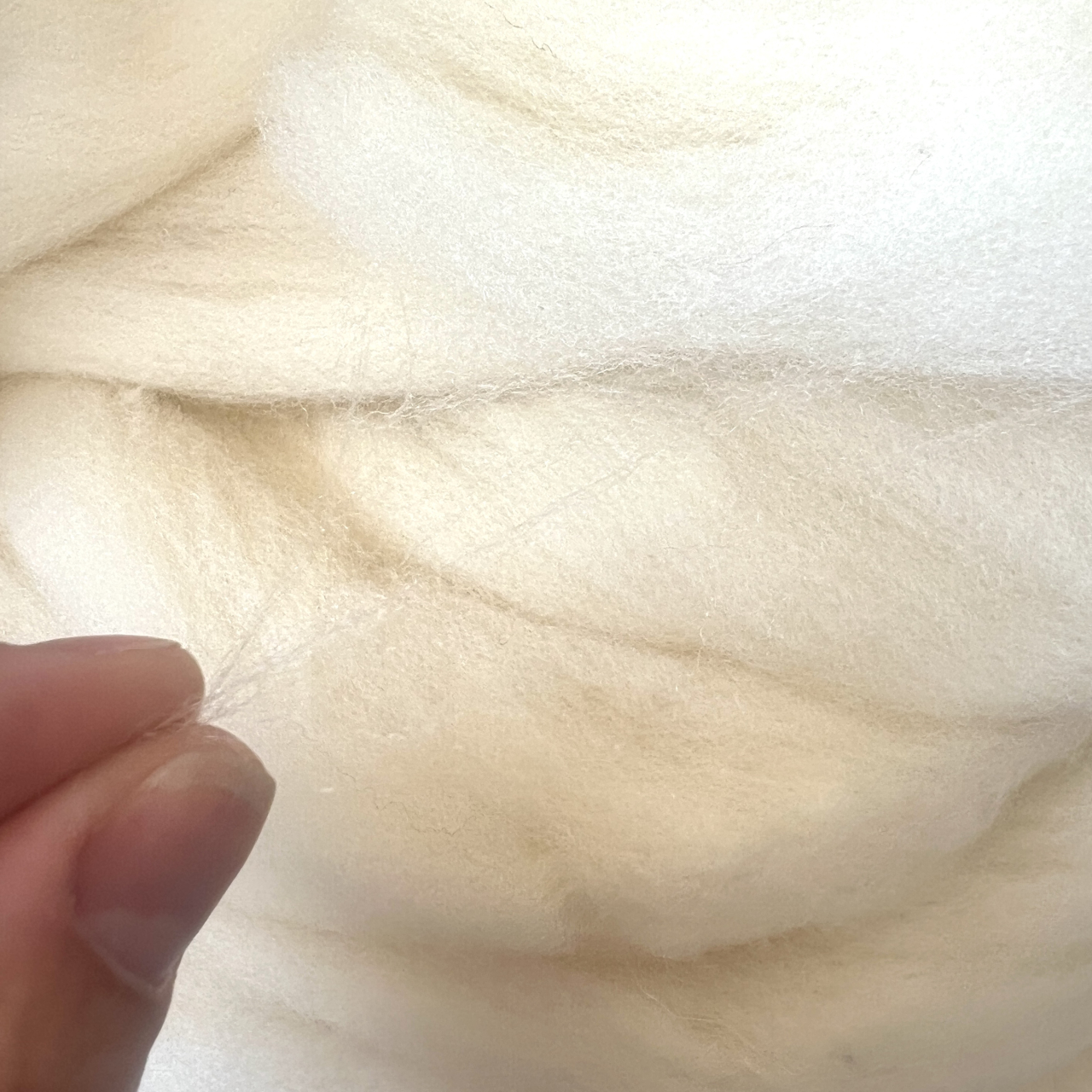 Premium White Merino Carded Wool 1kg, 20-22 Microns, Fiber Length 6–8 cm, Natural, Washed, Sun-Dried, Ideal for Felting, Spinning, Stuffing, and Knitting [4]