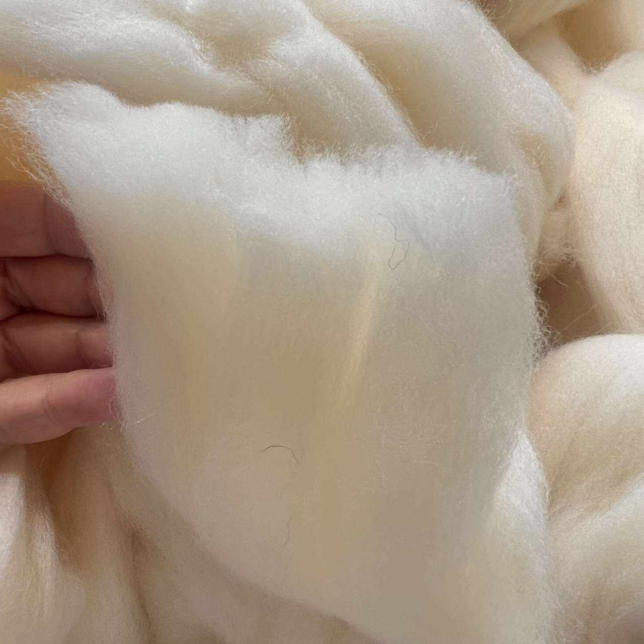 Premium White Merino Carded Wool 1kg, 20-22 Microns, Fiber Length 6–8 cm, Natural, Washed, Sun-Dried, Ideal for Felting, Spinning, Stuffing, and Knitting [3]