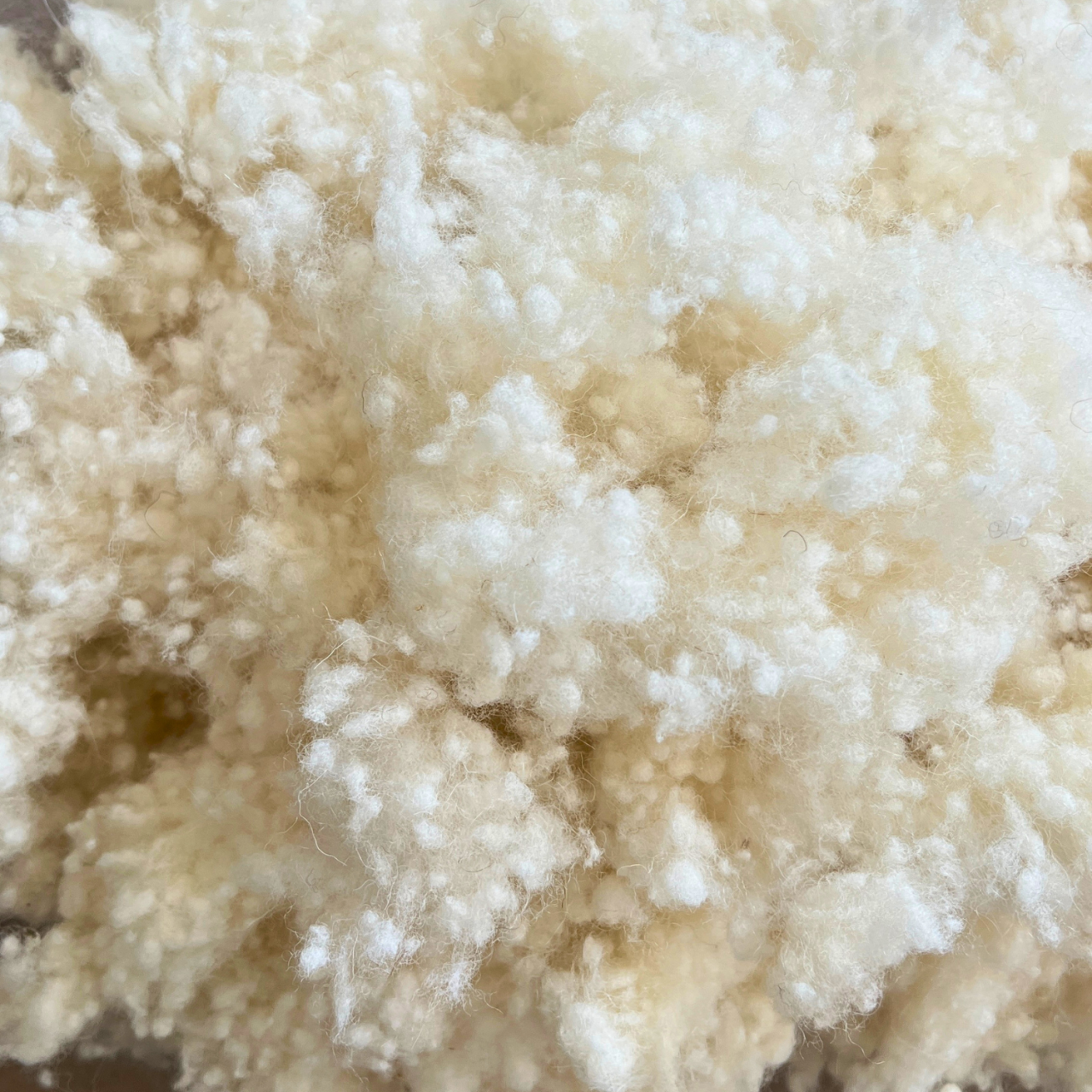 Lana Merinos Alba Pura Granulata (Bobite) Umplutura Perne- 26 Microni, Naturala, Spalata, Uscata la Soare [2]