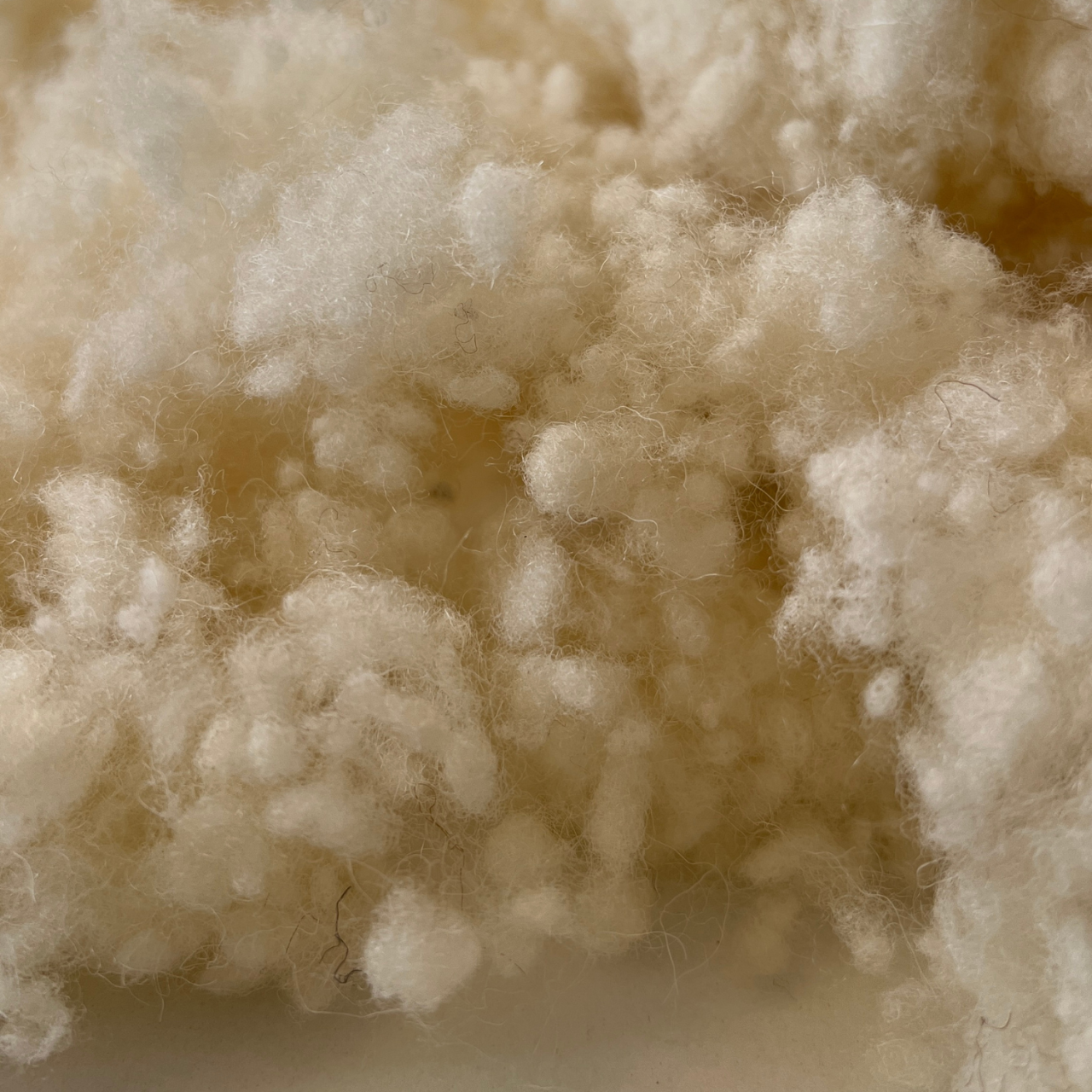 Lana Merinos Alba Pura Granulata (Bobite) Umplutura Perne- 26 Microni, Naturala, Spalata, Uscata la Soare [4]