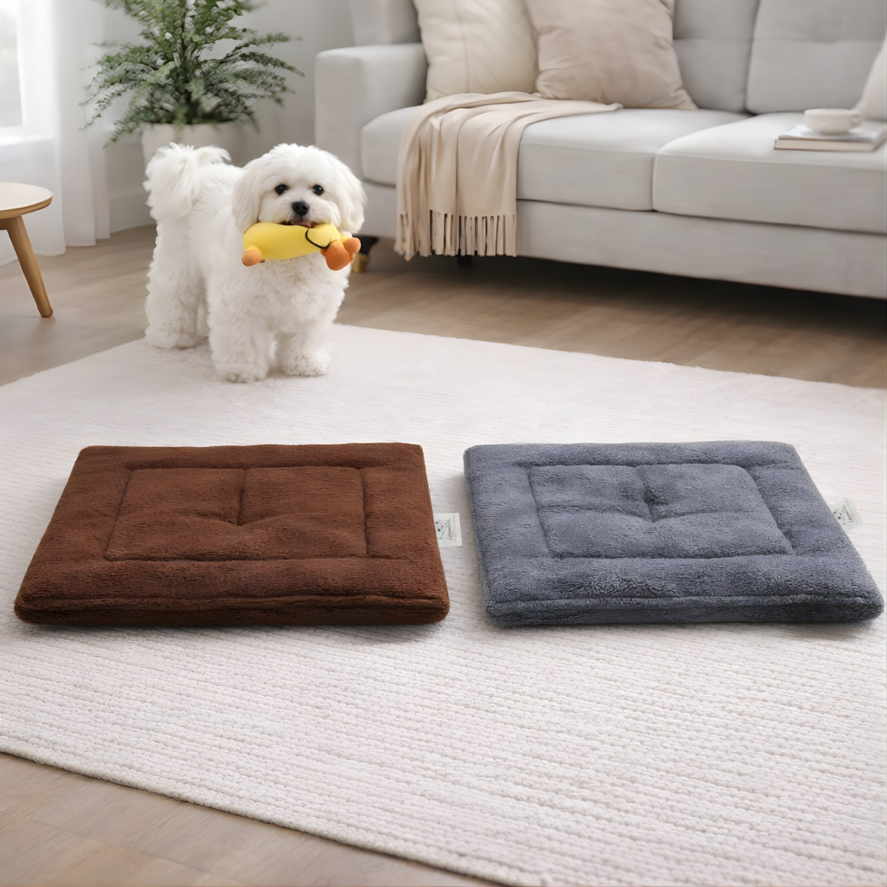 Pernă Culcuș Pat Animale de Companie Lână Merino 100% LanaWool | 55x55cm |Protectie Naturală AntiAcarieni, Gri [2]