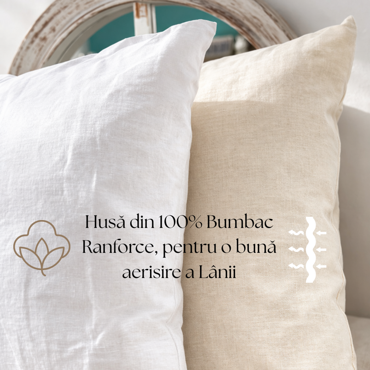 Pernă Lână Merino 100% LanaWool | 40x40 cm Fermitate Medie 300 g | Exterior Bumbac OekoTex Clasa 1 cu Fermoar, Crem [4]