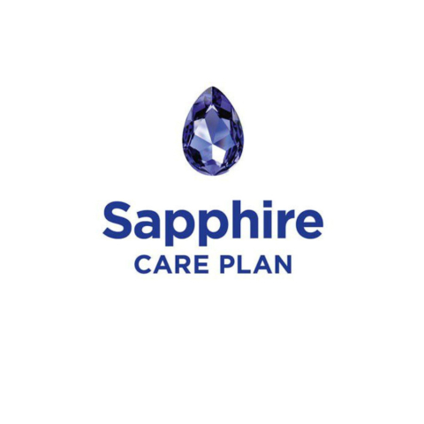 Servicii și upgrade - Sapphire Care Plan 1 Year pentru LanTEK III și IV