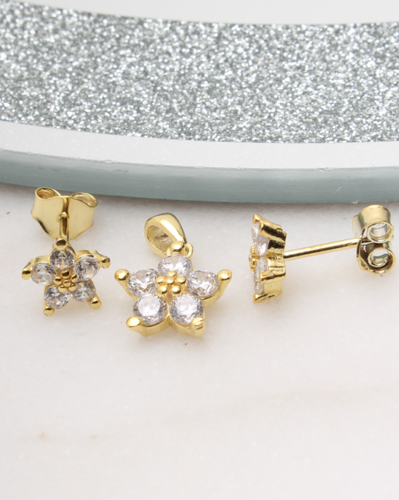 Set argint si cubic zirconia, gr2.3 [1]