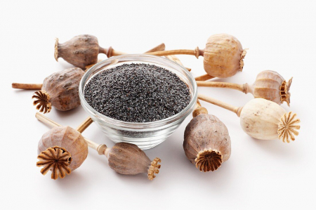 Semințe - Seminte mac albastru