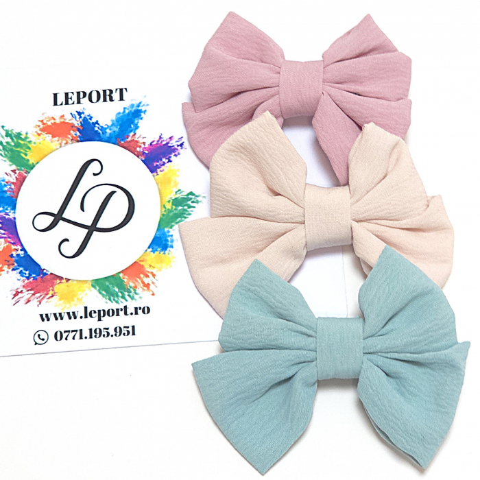 Funda mica monocrom [1]