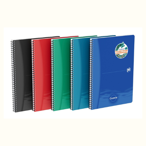 Galerie imagini Galerie imagini