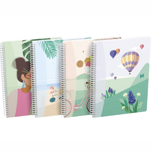 Galerie imagini Galerie imagini