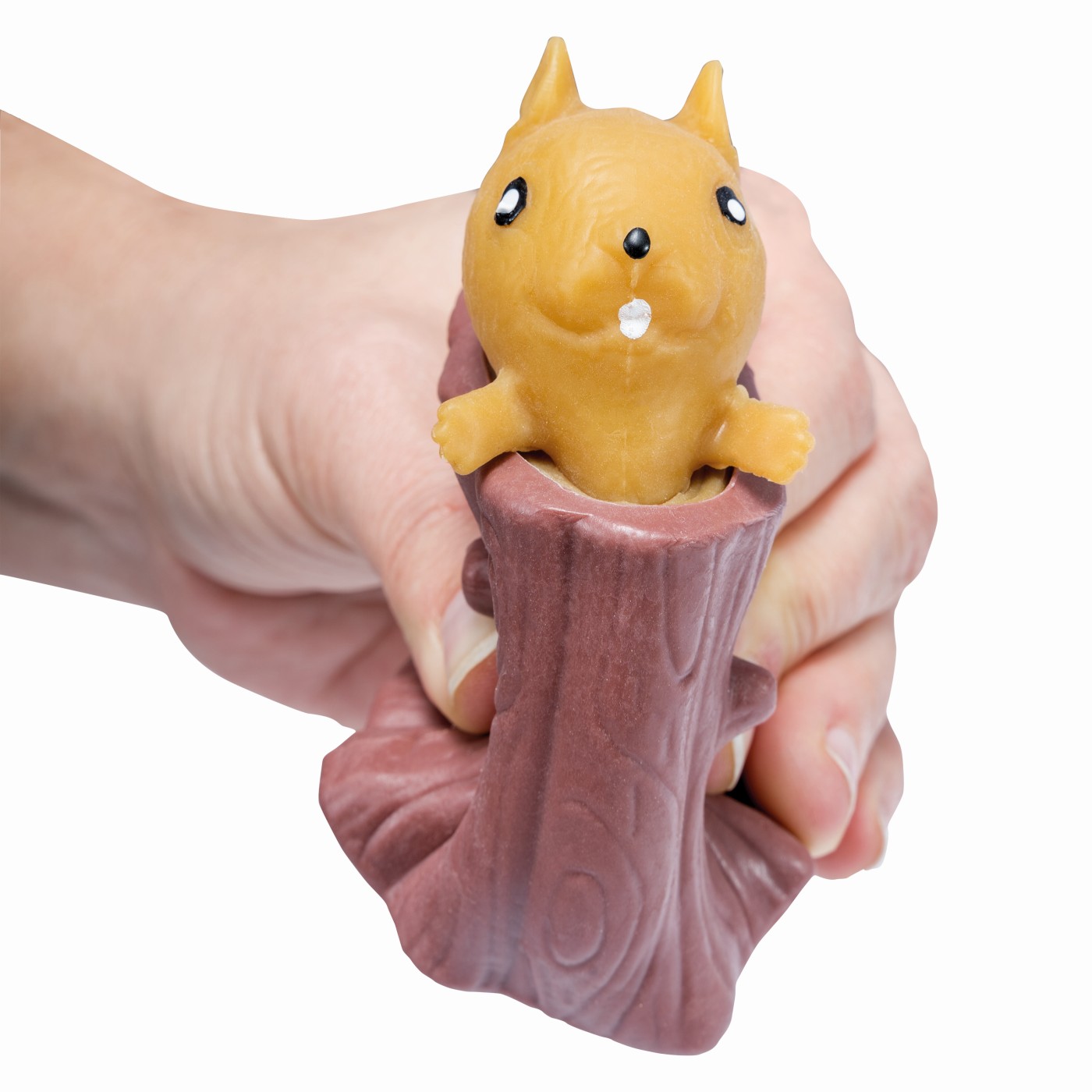 JUCARIE SQUISHY VEVERITA [3]