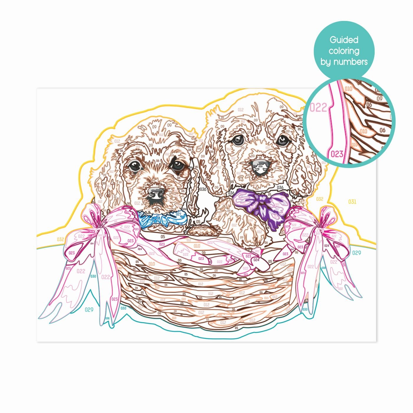 PICTEAZA SI INRAMEAZA CATELUSI ADORABILI [7]