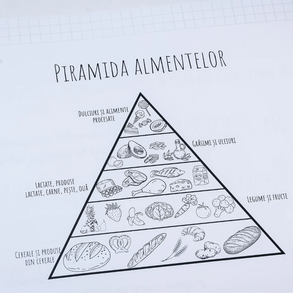 Caiet Izzie de Ed. Tehnologica A4 cu Teorie [4]