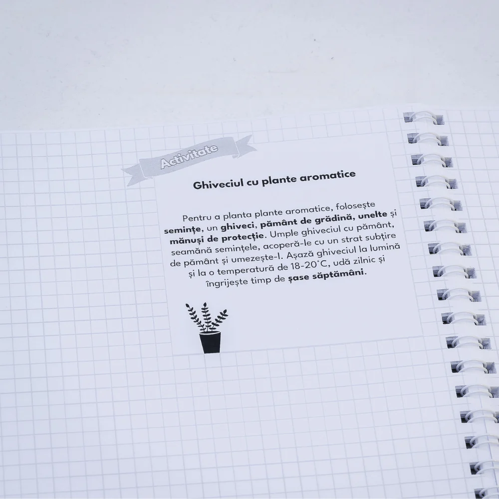 Caiet Izzie de Ed. Tehnologica A4 cu Teorie [2]