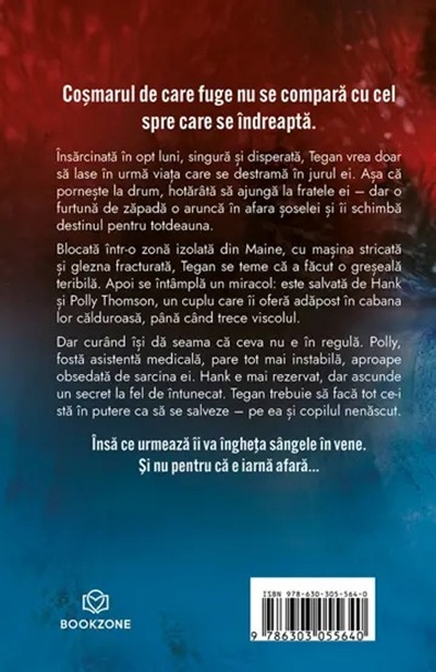 Accidentul – Freida McFadden [2]