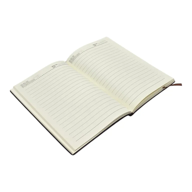 Agenda dictando cu emblema Turnul Eiffel 25cm /100file Duoguo culori diferite [2]