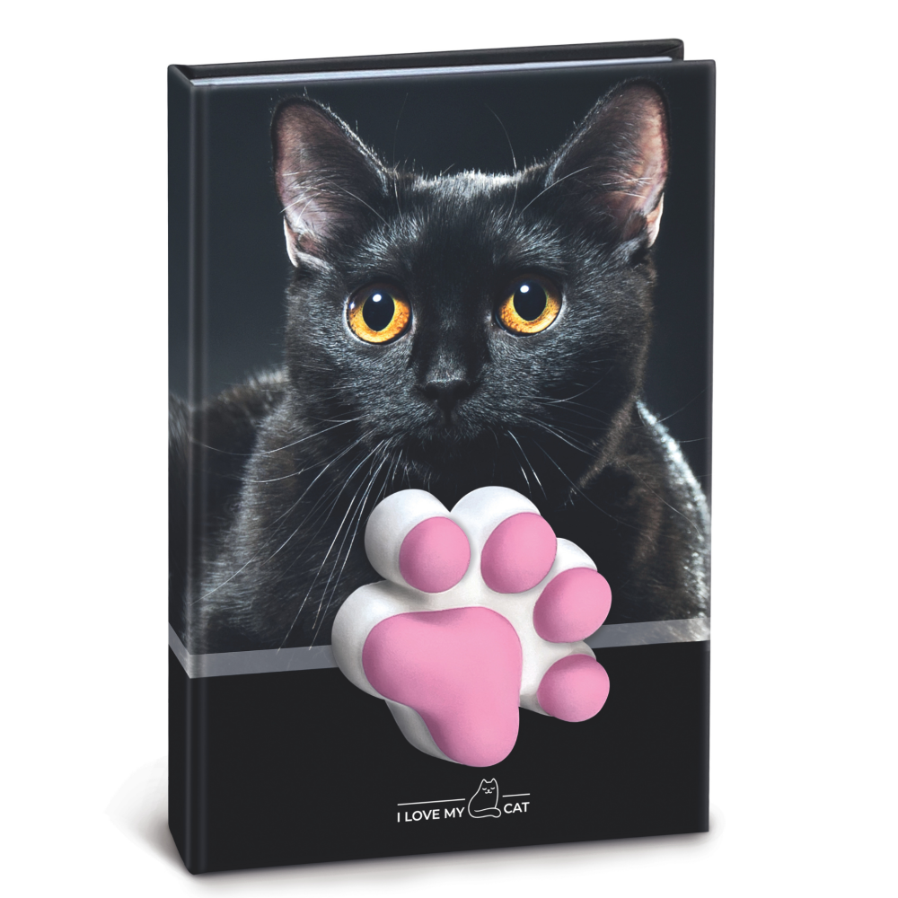 Agenda nedatata cu pisicute squishy 10 x 15 cm culori diferite [5]