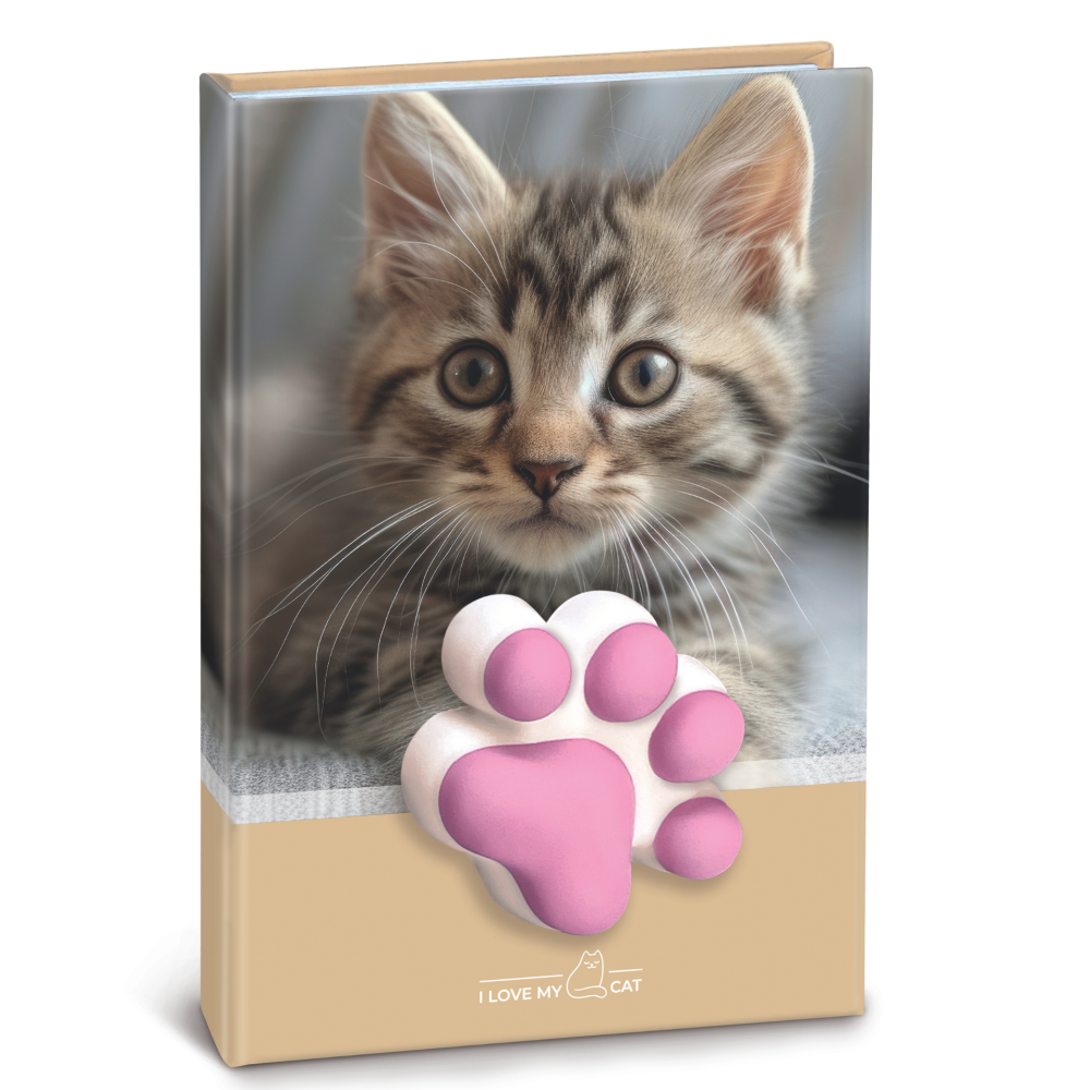 Agenda nedatata cu pisicute squishy 10 x 15 cm culori diferite [2]