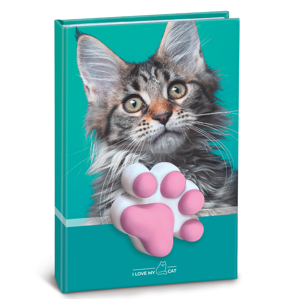 Agenda nedatata cu pisicute squishy 10 x 15 cm culori diferite [6]