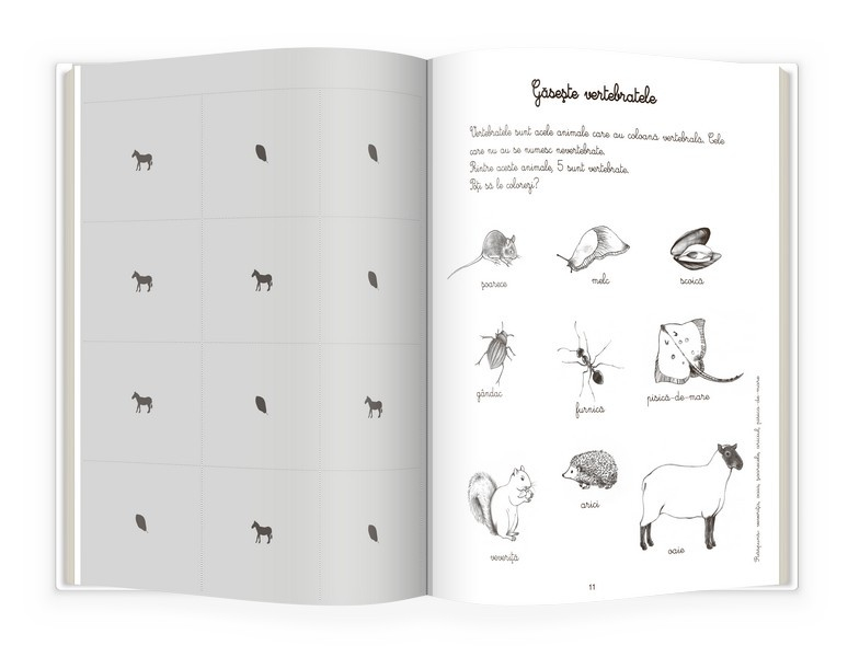 Animale si insecte. Activitatile mele Montessori - Eve Herrmann [2]