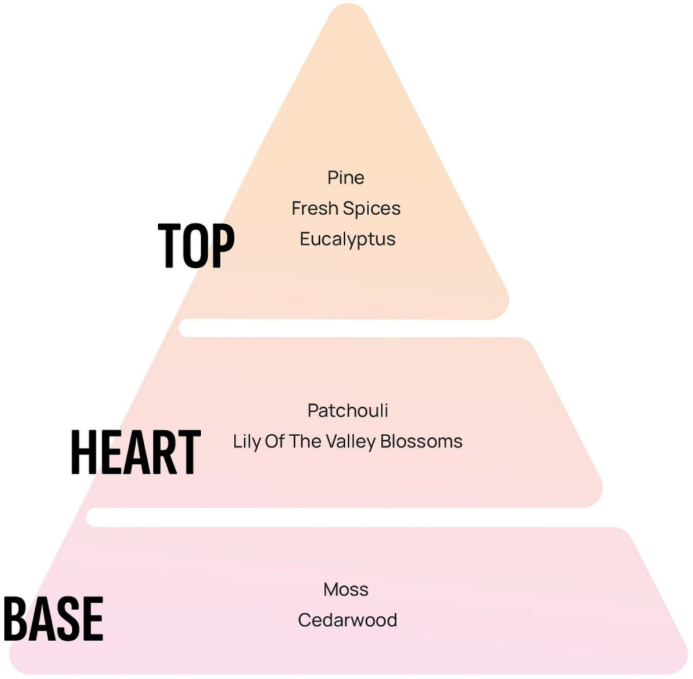 Odorizant camera Areon Pine 50 ml [2]