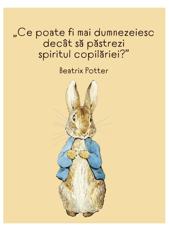 Aventurile lui Peter Iepurasul - Beatrix Potter [4]