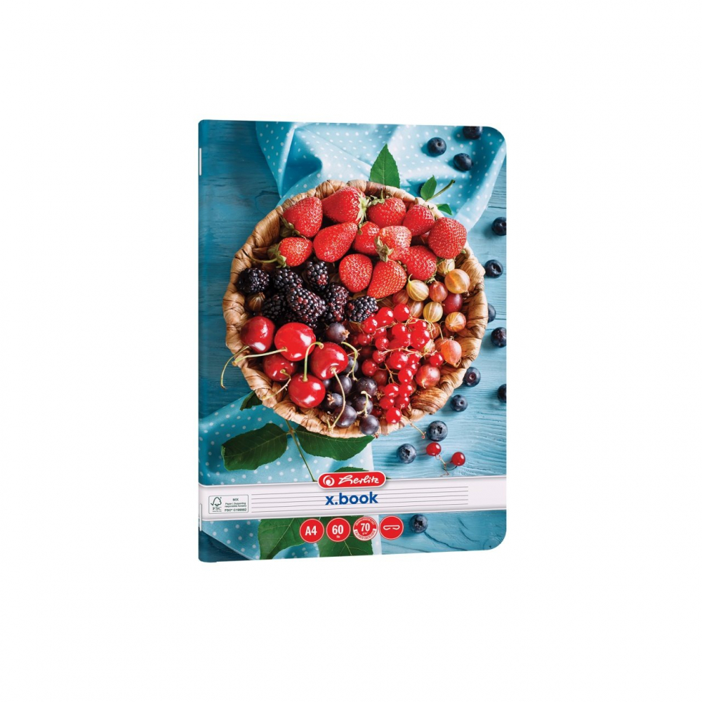 Caiet A4 60 file dictando motiv Healthy Snack Herlitz [2]