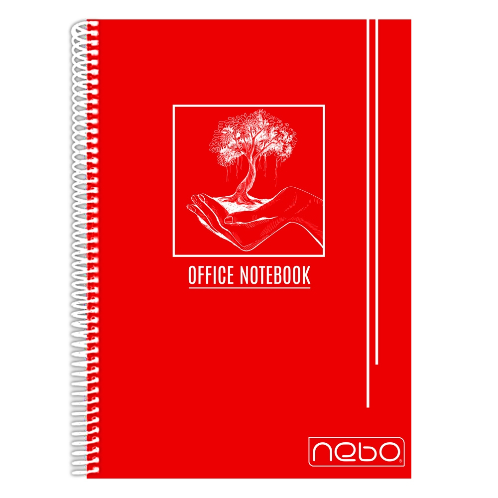 Caiet A4 80 file 29.8x1.5x22cm Nebo matematica culori diferite [2]