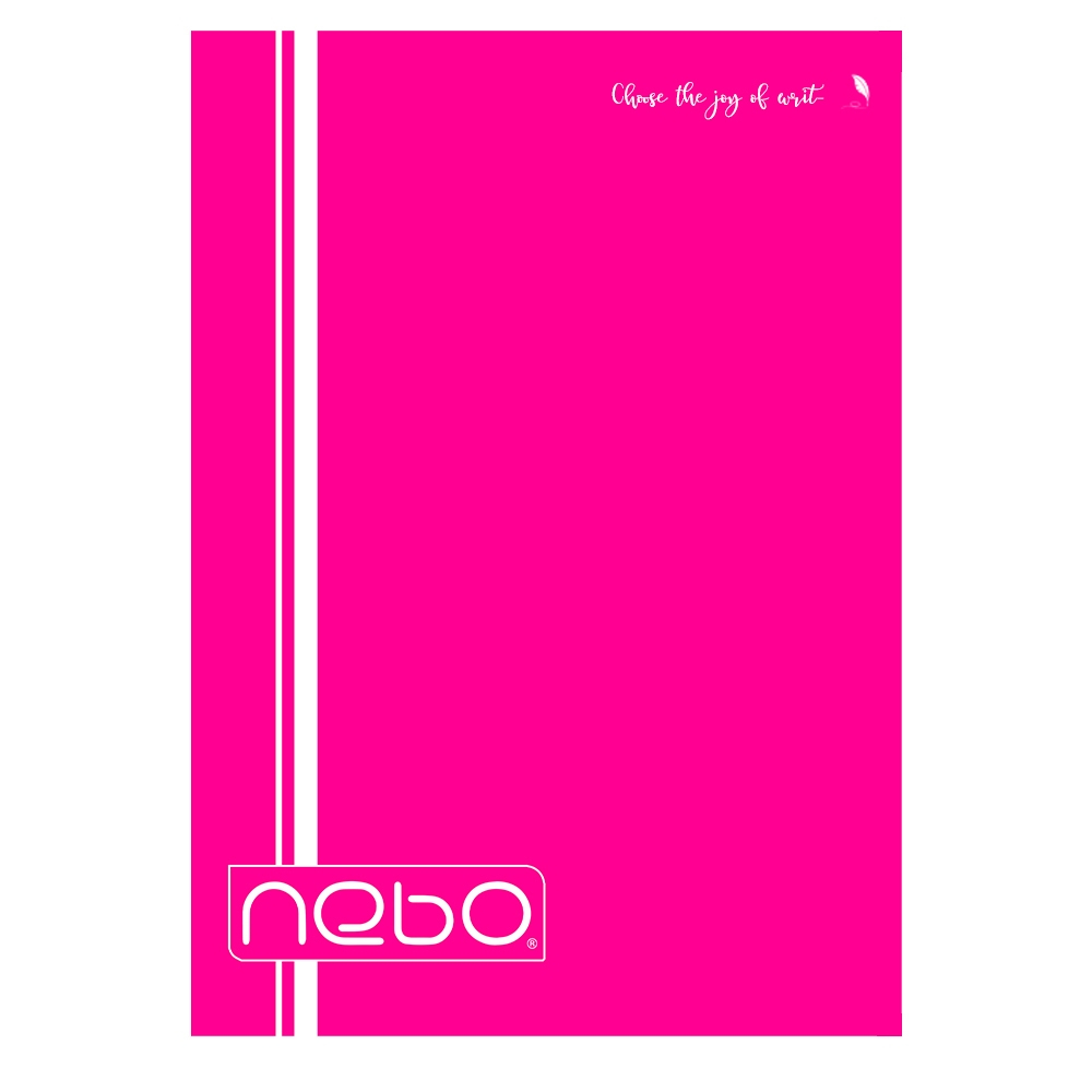 Caiet A4 80 file dictando coperta PP Nebo [9]