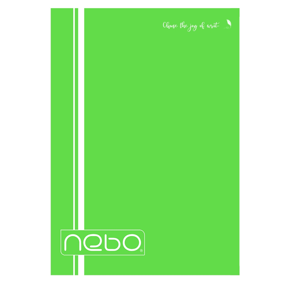 Caiet A4 80 file dictando coperta PP Nebo [5]