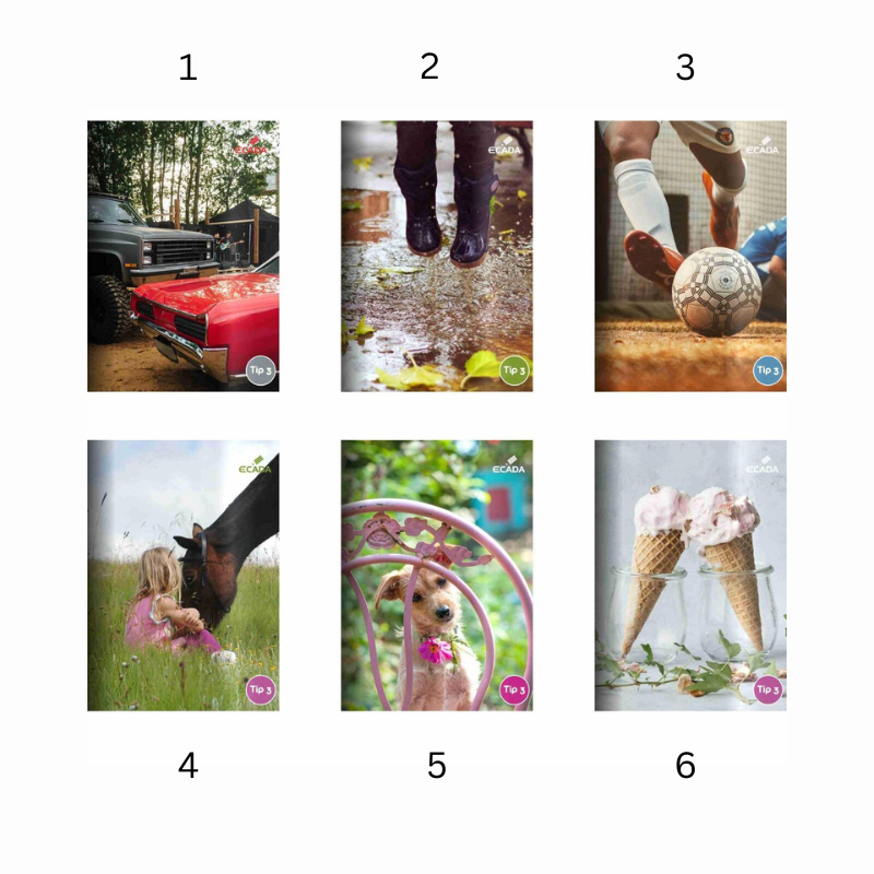 Caiet A5 24 file tip III Ecada [2]