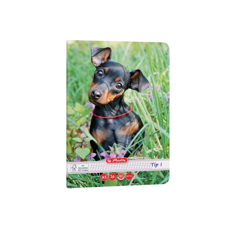 Caiet A5 Tip I 36 file motiv Cats & Dogs Herlitz [2]