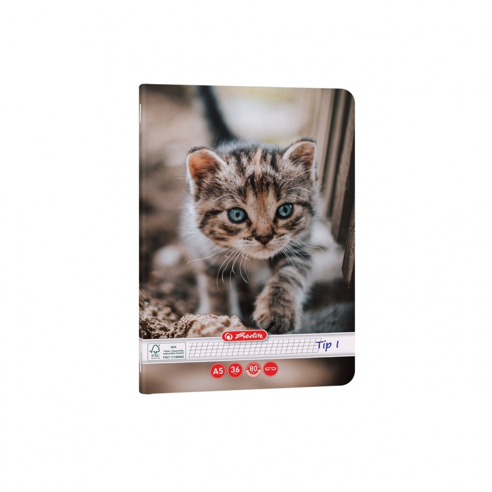 Caiet A5 Tip I 36 file motiv Cats & Dogs Herlitz [4]