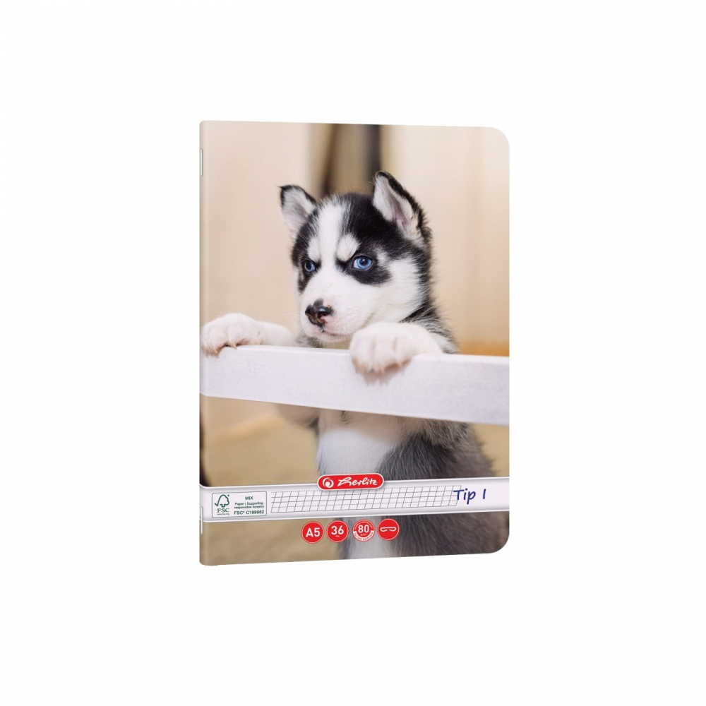Caiet A5 Tip I 36 file motiv Cats & Dogs Herlitz [3]