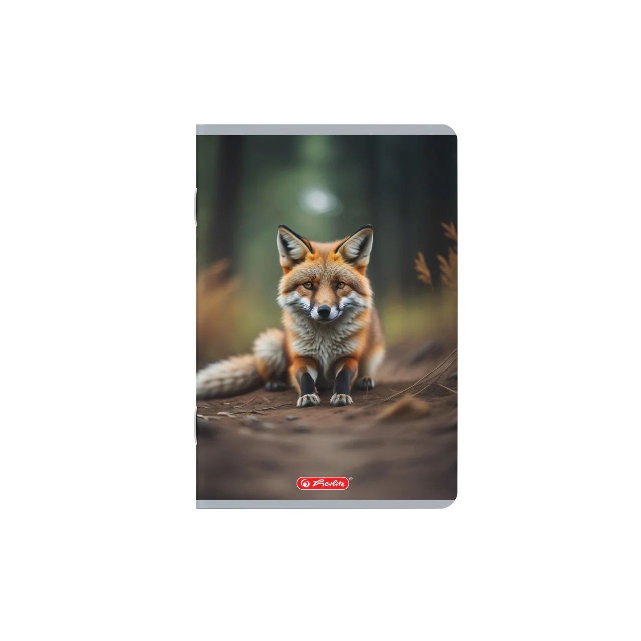Caiet A5 48 file patratele motiv Megamix 2 Herlitz [6]
