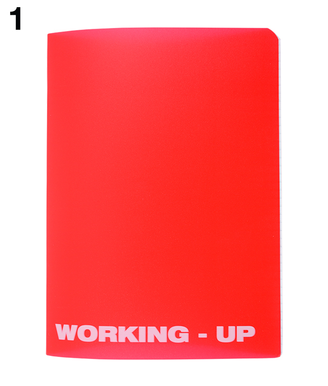 Caiet A5 48 file matematica coperta PP Working Up Pigna [2]